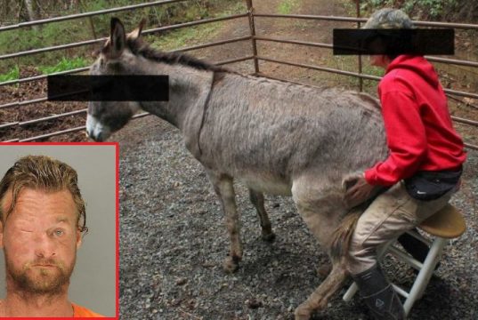 Donkey Man Jail