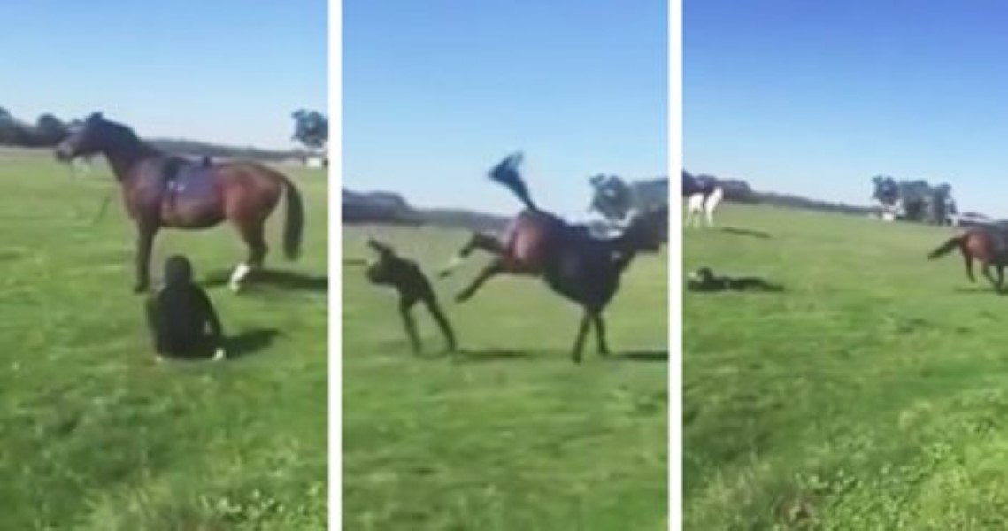 Horse kicks woman